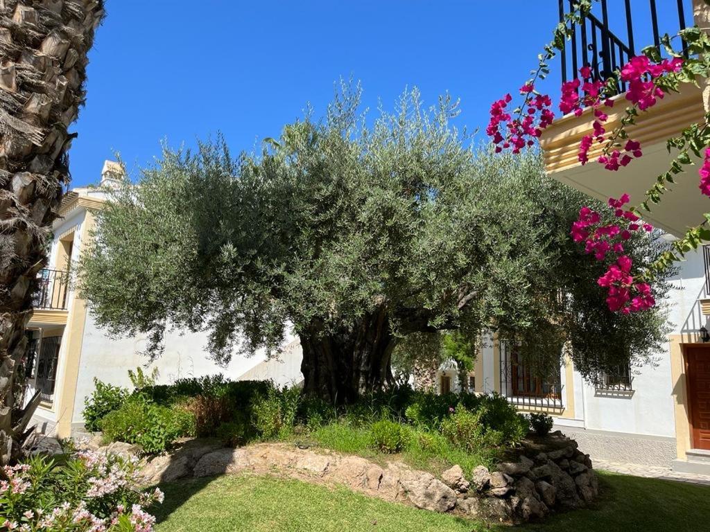 Luna Blanca Vera Playa Apartment Los Amarguillos Exterior photo